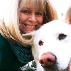 Meet your Posher, Trish